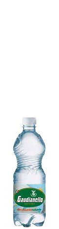 Acqua Leggermente frizzante Gaudianello 0.5L in plastica - consegna a domicilio Fontilio