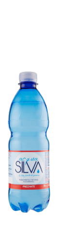 Acqua Frizzante Silva 0.5L in plastica - consegna a domicilio Fontilio