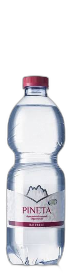 Acqua Naturale Pineta 0.5L in plastica - consegna a domicilio Fontilio