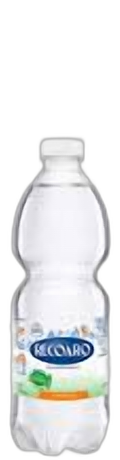 Acqua Naturale Recoaro 0.5L in r-pet - consegna a domicilio Fontilio