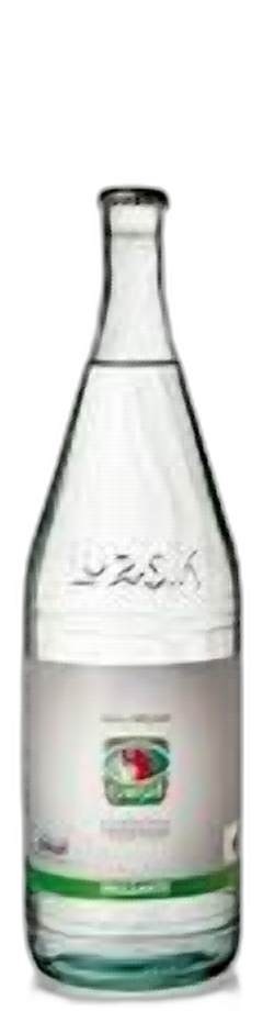 Acqua Frizzante Lurisia 1L in vetro a rendere - consegna a domicilio Fontilio