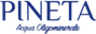 Pineta
